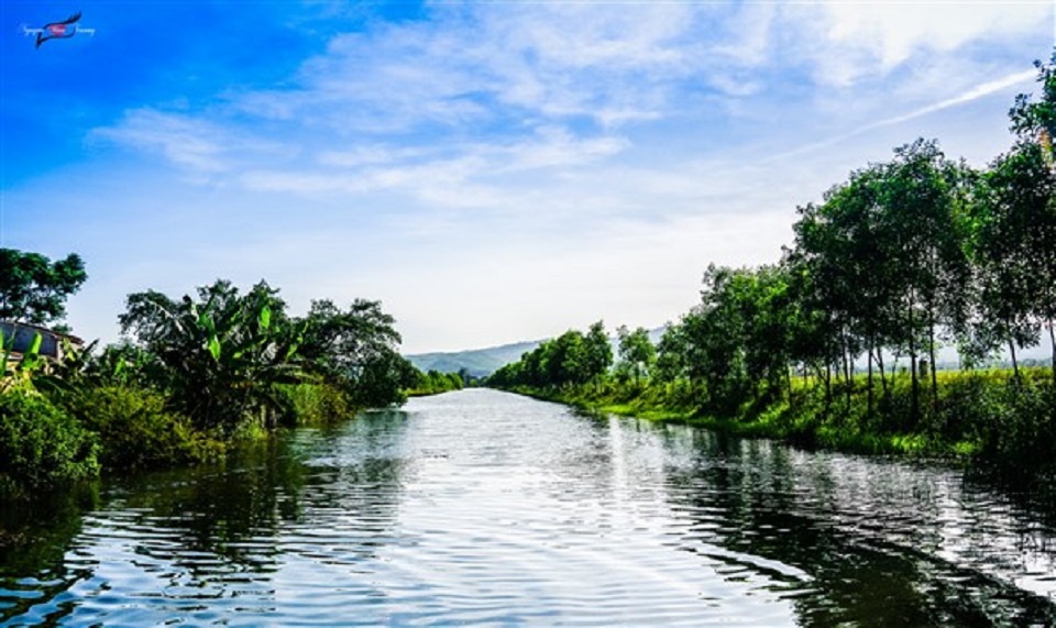 kenhduy cavuoc langtranxa.vn